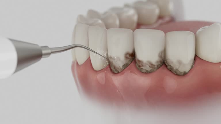 Reliable Dental contractor in Atascocita, TX by Dentist Open Now